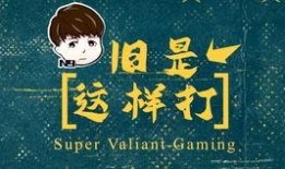 大哥爆料魏莹视频大全播放,魏莹视频大全播放背后的惊人真相