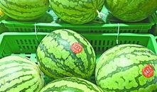 武都城网红吃瓜群微信号,揭秘城市生活趣味瞬间