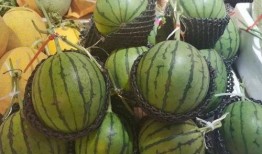 龙州网红黄小姐吃瓜事件,揭秘网络舆论的狂欢与反思