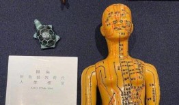 人体模型最新爆料视频,科技与艺术的完美融合