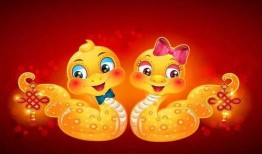 蜜蜂铃兰爆料怎么做视频,揭秘视频制作全攻略