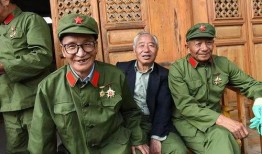 老兵在线观看,重温峥嵘岁月，共筑和平梦想