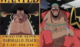 黑胡子最新爆料视频大全,揭秘神秘势力动向与未来走向