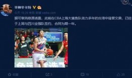 8月赛季最新爆料群,群英荟萃，风云变幻，揭秘新赛季精彩看点