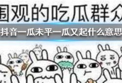 抖音吃瓜群众免费,揭秘热门事件幕后真相！