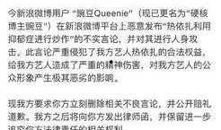 宋茜爆料雪梨视频大全,揭秘娱乐圈背后的秘密