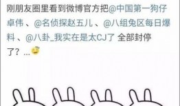 娱乐吃瓜君事件,揭秘网络舆论背后的真相与争议