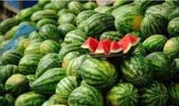 缅甸吃瓜爆料在线视频,揭秘热门视频背后的真相