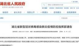 湖北省内新闻爆料,最新爆料揭示当地重大事件真相