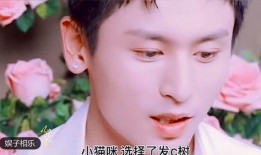 大佛爆料儿子被打视频大全,家庭暴力事件引发社会关注