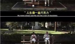 阿甘正传电影在线观看,穿越时光的真挚情感之旅