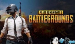 绝地求生国际服最新爆料,神秘更新即将来袭，全新玩法等你探索！