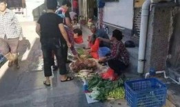 最新爆料汕尾已婚妇女,家庭秘密背后隐藏的惊人真相