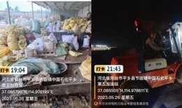 邢台隆尧爆料事件视频,真相与争议交织的舆论漩涡