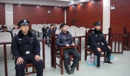 如何处理恐怖视频爆料,策略与行动指南