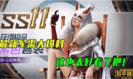 最新军需爆料视频,最新爆料视频深度解析