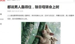 爆料头条搞笑视频,搞笑视频盘点，笑点满满，笑到肚子疼！