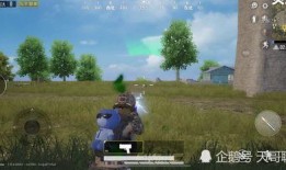 吃鸡新枪皮肤最新爆料