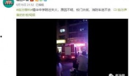 最新高校爆料视频播放下载,独家下载解析