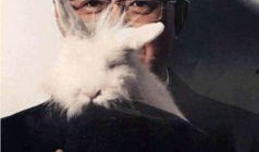 卓伟最新爆料s姓n姓出轨明,S姓明星与N姓艺人被曝出轨，卓伟独家爆料揭秘真相