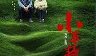 小草 在线观看,在线观看，感受生命的顽强与希望
