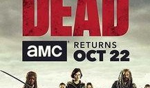 行尸走肉第二季在线观看,生死边缘的求生之旅