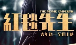 电影先生在线观看免费,揭秘光影世界中的情感之旅