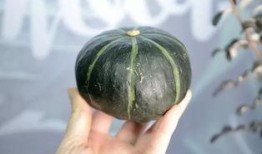 抖音网红吃葫芦瓜,葫芦瓜美食大比拼，创意吃法引热议