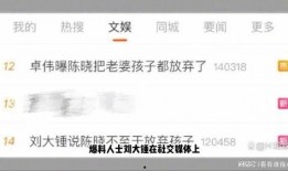 刘大锤爆料女生视频播放,女生视频播放事件引发热议