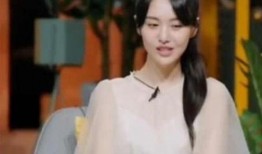 郑爽被张恒爆料了吗视频,揭秘娱乐圈背后的真相