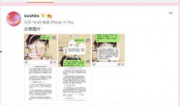 湖州女士爆料新闻视频,揭秘事件背后真相