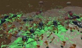 地下蚁国爆料视频,震撼爆料视频背后的惊人真相