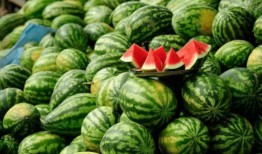 网红瓜怎么吃,轻松解锁美味新境界