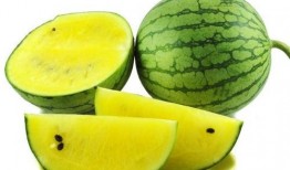 龙州网红黄小姐吃瓜事件,揭秘网络舆论的狂欢与反思