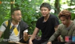 最新爆料汪涵骗局揭秘,揭开明星光环背后的惊人内幕