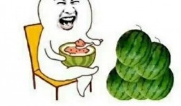 瓜瓜吃瓜娱乐,娱乐无限，揭秘娱乐圈幕后故事