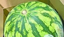 武都城网红吃瓜群微信号,揭秘城市生活趣味瞬间