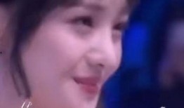 郑爽被张恒爆料了吗视频,揭秘娱乐圈背后的真相