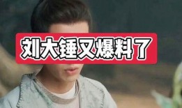 刘大锤爆料小鲜肉视频,小鲜肉神秘视频幕后真相曝光