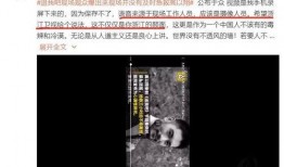 辰宇被爆料视频在线观看,揭秘背后真相