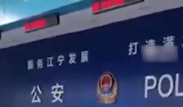 爆料视频交警违法吗知乎,爆料视频引发网友热议