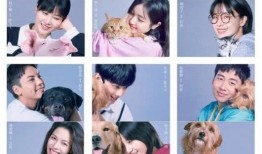 宠爱资源在线观看,温情满满，治愈心灵的家庭情感剧