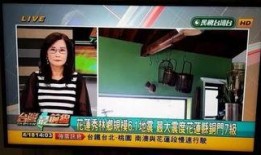 地震专家爆料新闻视频下载,新闻视频背后的科学真相