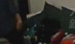 陕西儿媳妇爆料事件视频,揭露家庭矛盾背后的真相