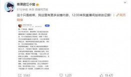 刘大瓜爆料蔡徐坤视频,揭秘背后惊人真相