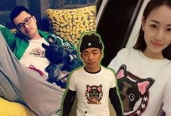 娱乐圈吃瓜嗑cp小说,甜蜜瓜田里的CP盛宴