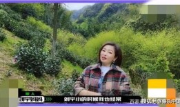 刘宇早期爆料视频大全最新,揭秘娱乐圈不为人知的幕后故事