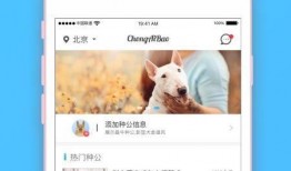 宠爱资源在线观看,温情满满，治愈心灵的家庭情感剧