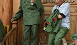 老兵在线观看,重温峥嵘岁月，共筑和平梦想