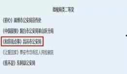 金融诈骗爆料视频最新,最新爆料视频曝光惊人内幕